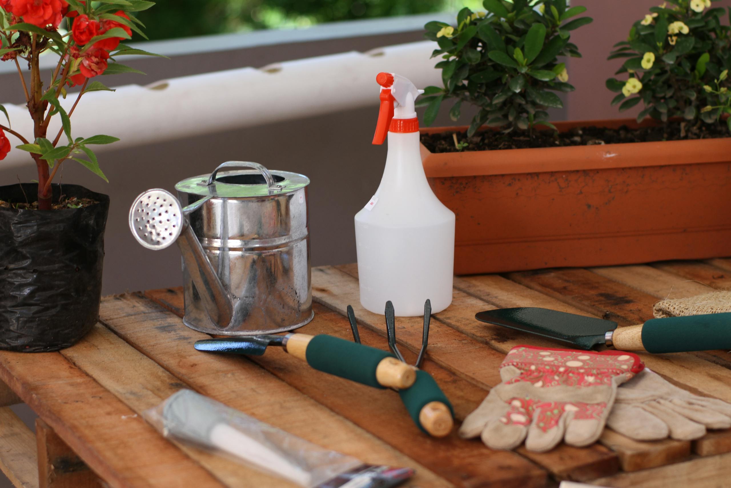 A collection of gardening tools and plants on a wooden table, ideal for gardening enthusiasts.